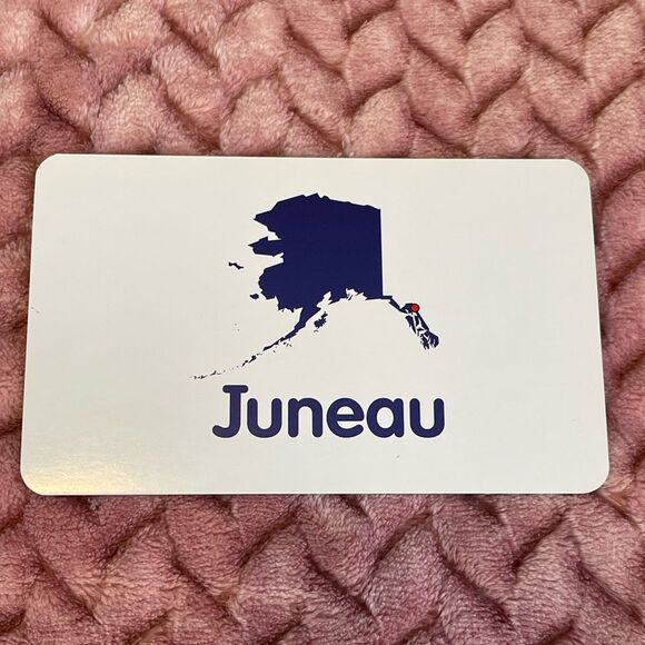 Multiplication & States and Capitals Flash Cards - Picture 6 of 11